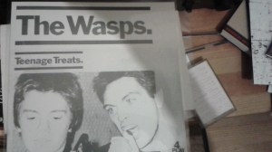 wasps